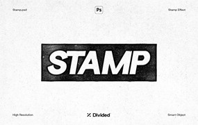 复古仿旧做旧艺术噪点颗粒印章效果PSD一键生成模板素材logo样机 Divided.Co – Stamp