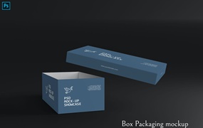 盒子外观包装设计样机 Box Packaging mockup