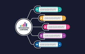 丰富多彩商业类目步骤信息图表模板 Colorful Flat Diagram Business Infographic