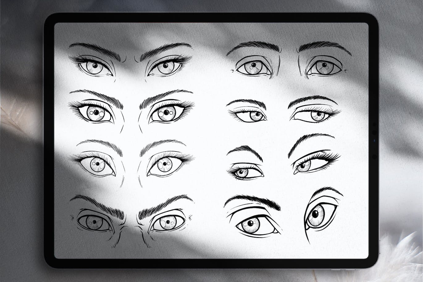 人体眼睛Procreate绘画笔刷素材 Dans Eyes Anatomy Brush Stamp Procreate 笔刷资源 第2张