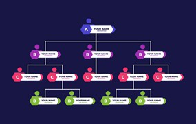 扁平化关系结构图布局信息图表模板 Flat Organizational Chart Layout Infographic