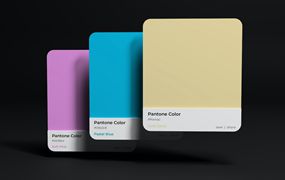 潘通色卡设计样机 Pantone Box Mockup