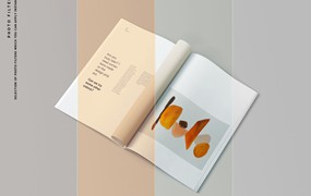 16个A4杂志书籍样机 16 A4 Magazine Mockups