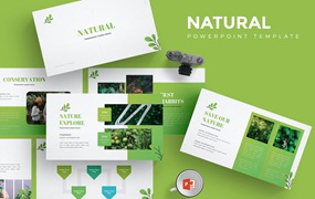 绿色自然绿植PPT演示幻灯片模板 Natural – Powerpoint Template