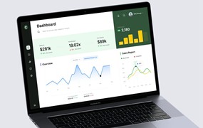 财务仪表盘设计模板 Coca – Finance Dashboard