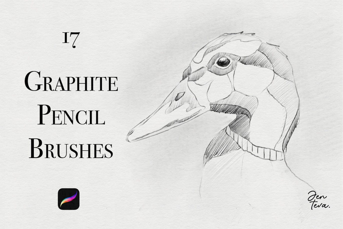 用于Procreate的石墨铅笔笔刷 Graphite Pencils for Procreate 笔刷资源 第1张