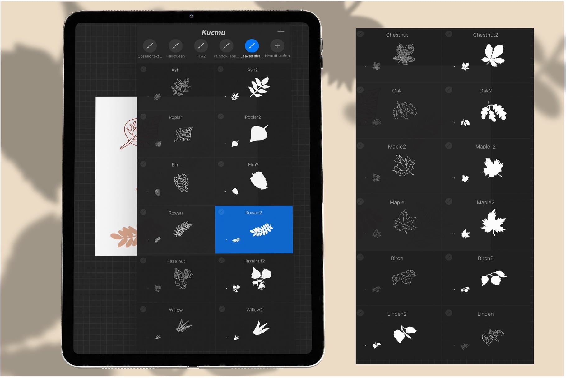 叶子树叶阴影Procreate笔刷 Leaves stamps for Procreate. Foliage 笔刷资源 第5张