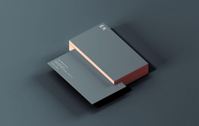 经典名片样机 Classic Business Card Mockup