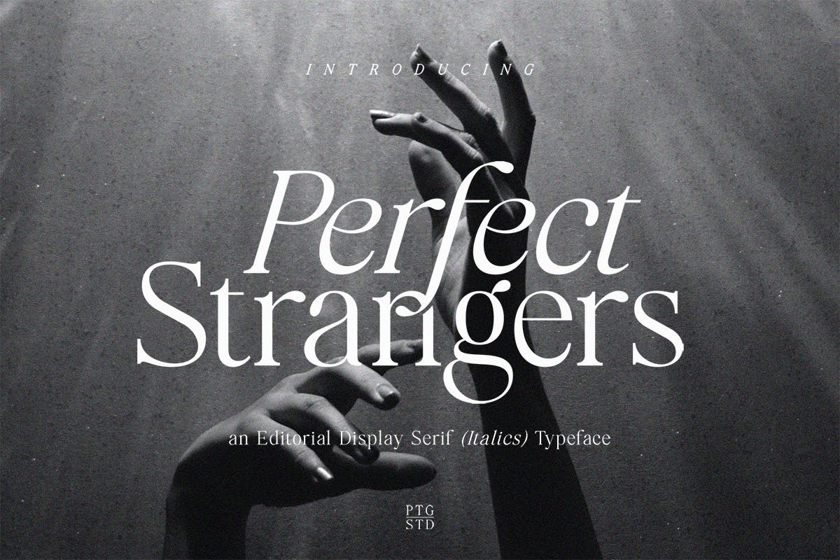 优雅斜体衬线字体素材 Perfect Strangers I Display Elegant serif Italics 设计素材 第1张