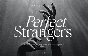 优雅斜体衬线字体素材 Perfect Strangers I Display Elegant serif Italics