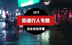 行人街道高清无水印视频素材25个