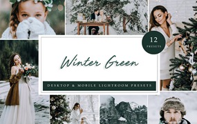 冬季绿色滤镜LR调色预设下载 Lightroom Presets – Winter Green