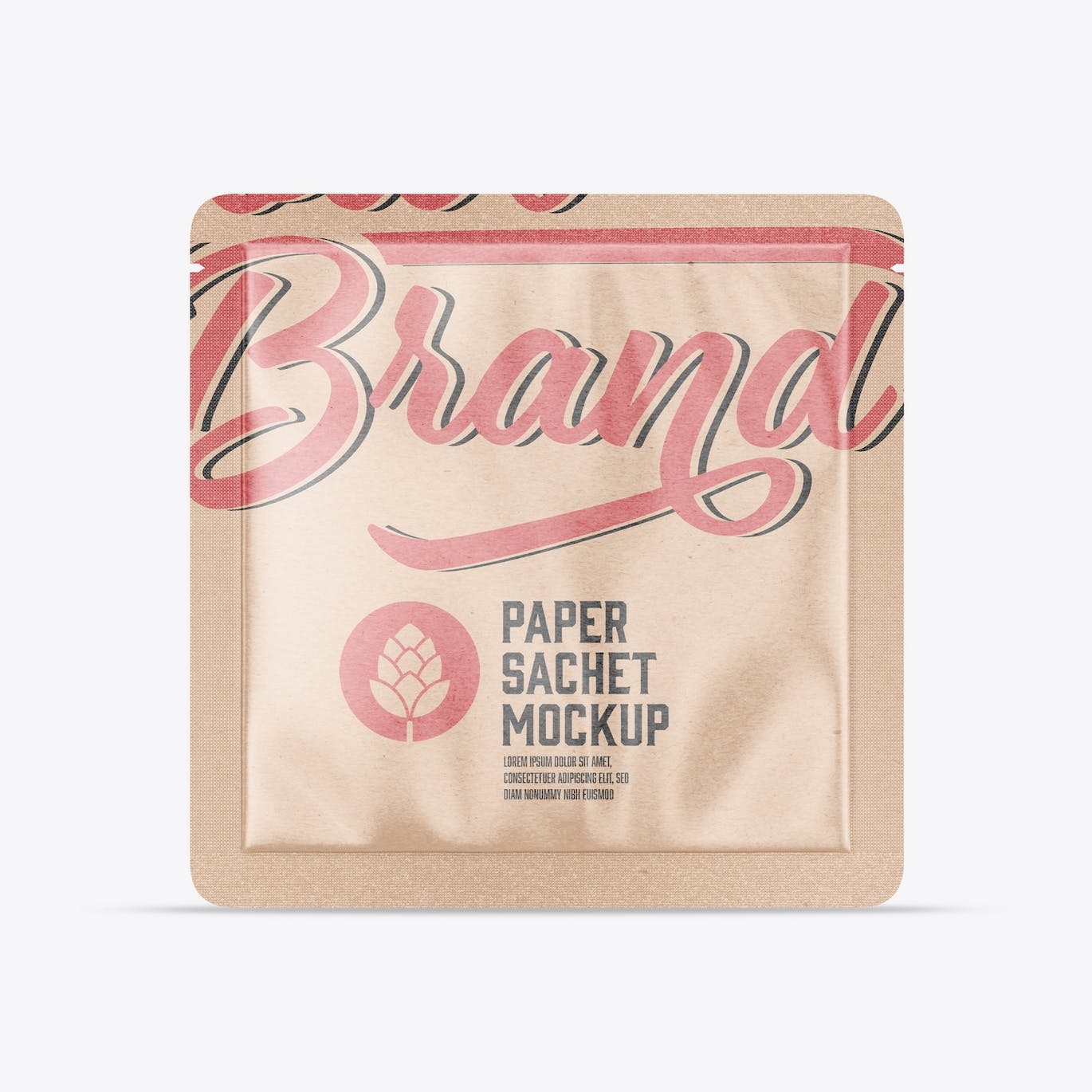 包装牛皮纸袋设计样机图 Pack Kraft Sachet Mockup 样机素材 第2张