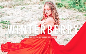 草莓艳红色滤镜Lightroom照片预设 Winterberry Mobile & Desktop Lightroom Presets