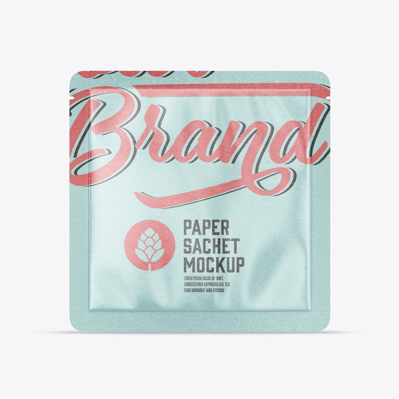 包装牛皮纸袋设计样机图 Pack Kraft Sachet Mockup 样机素材 第10张