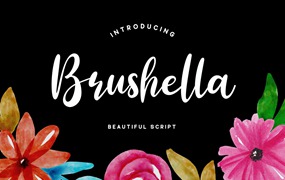 美丽精致的脚本字体 Brushella Font