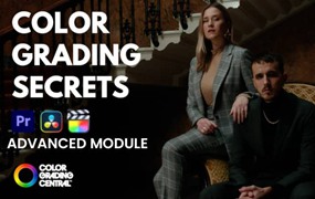 大师课程：专业级达芬奇调色秘密解析 Color Grading Secrets Pro DaVinci Resolve: Advanced