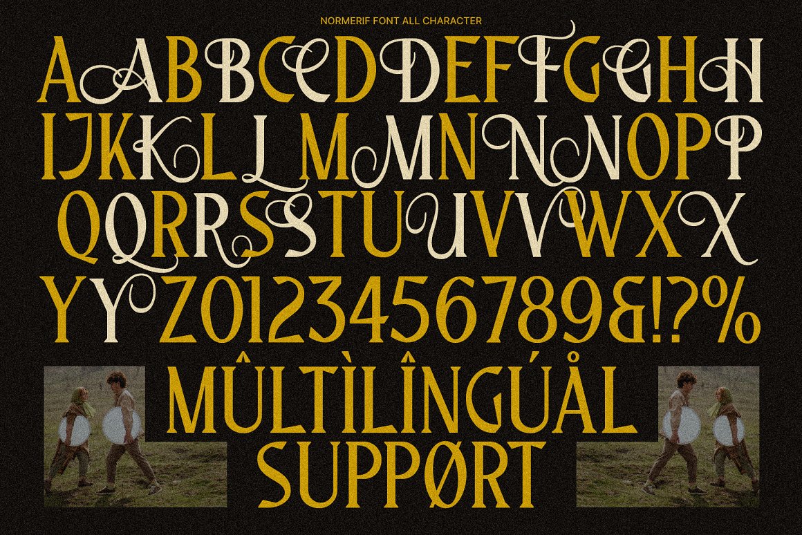 英文字体：优雅奢华品牌婚礼商标设计衬线英文字体 Normerif - Elegant Display Serif 设计素材 第7张