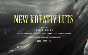 婚礼LUT：30个大气欧美温暖柔光婚礼调色LUT NEW KREATIV LUTS