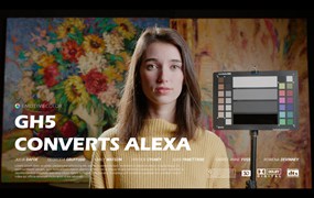 Emotive Color 松下GH5转阿莱色彩LUT调色预设包 GH5 CONVERTS ALEXA EMOTIVE COLOR GHALEX LUTS