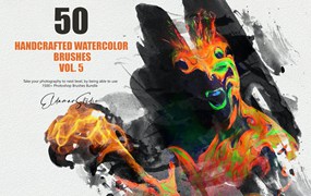 50个手工制作的绘画水彩ps笔刷v5 50 Handcrafted Watercolor Brushes – Vol. 5