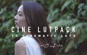 10个索尼专业电影级调色LUT预设包 CINE LUT PACK