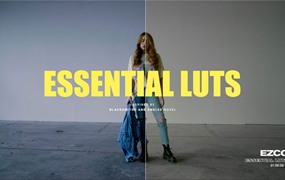 EZCO 10个情绪美学LUT调色预设 Essential LUTs