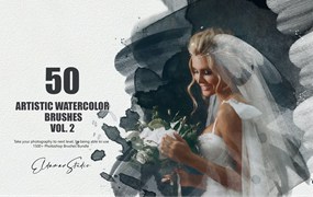 50个艺术水彩ps笔刷v2 50 Artistic Watercolor Brushes – Vol. 2