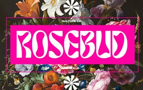 英文字体：90年代复古迷幻扭曲Y2K怪诞字母标题图标设计英文字体 TAN – ROSEBUD Font