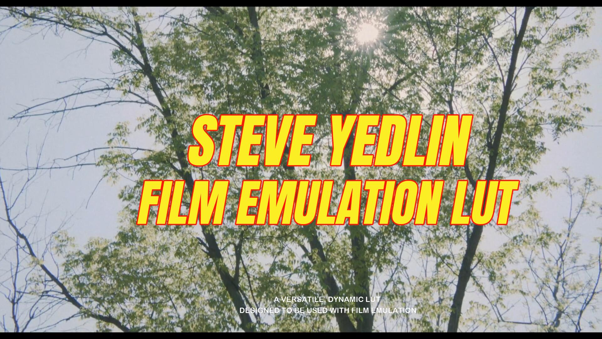 复古情绪短片胶片模拟lut调色预设 FILM EMULATION LUT . 第11张