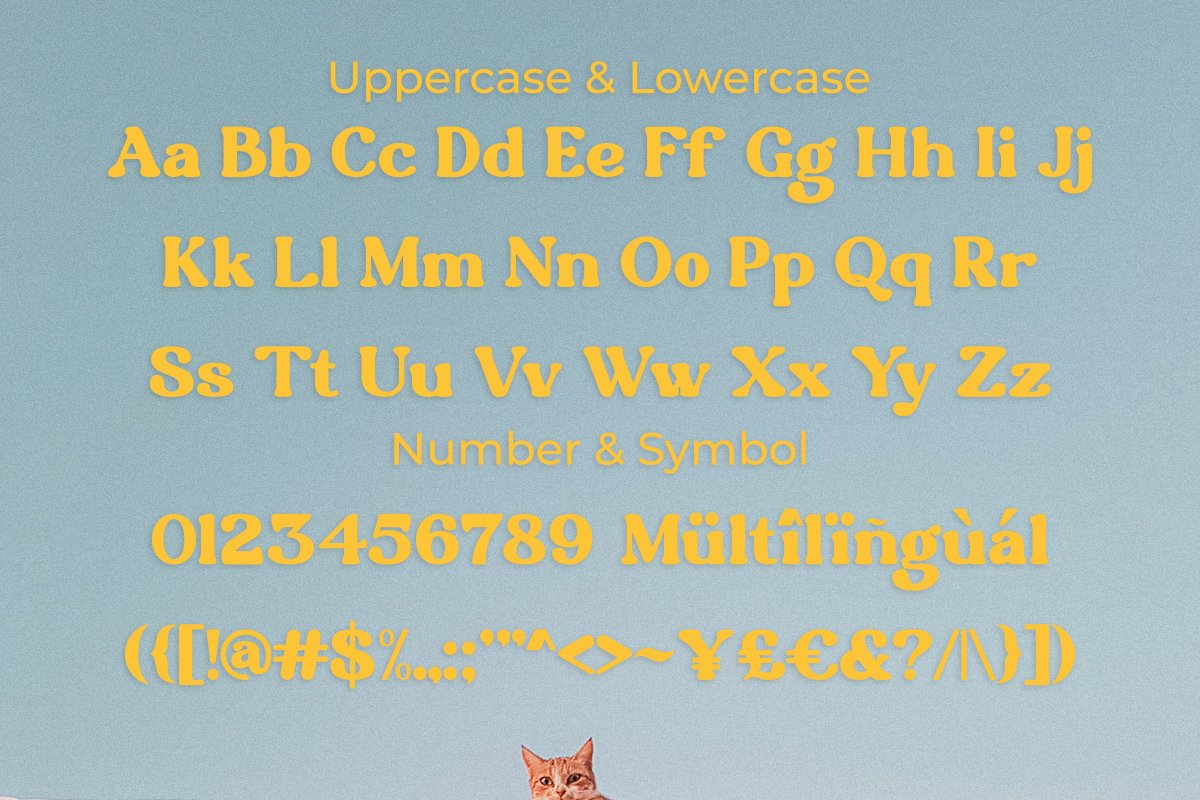 英文字体：复古优雅怀旧氛围衬线海报杂志封面字体 Ripe Mango - Retro Display Typeface . 第12张