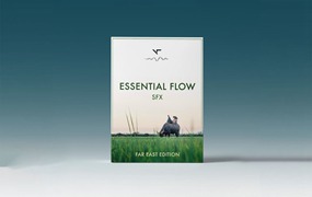 Visual Tone 196种远东延时慢动作过渡纹理竖纹音效合集 ESSENTIAL FLOW SFX | FAR EAST EDITION