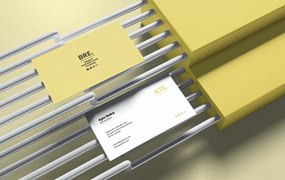 优雅圆管场景名片展示样机psd模板 Elegant Business Card Mockup V3