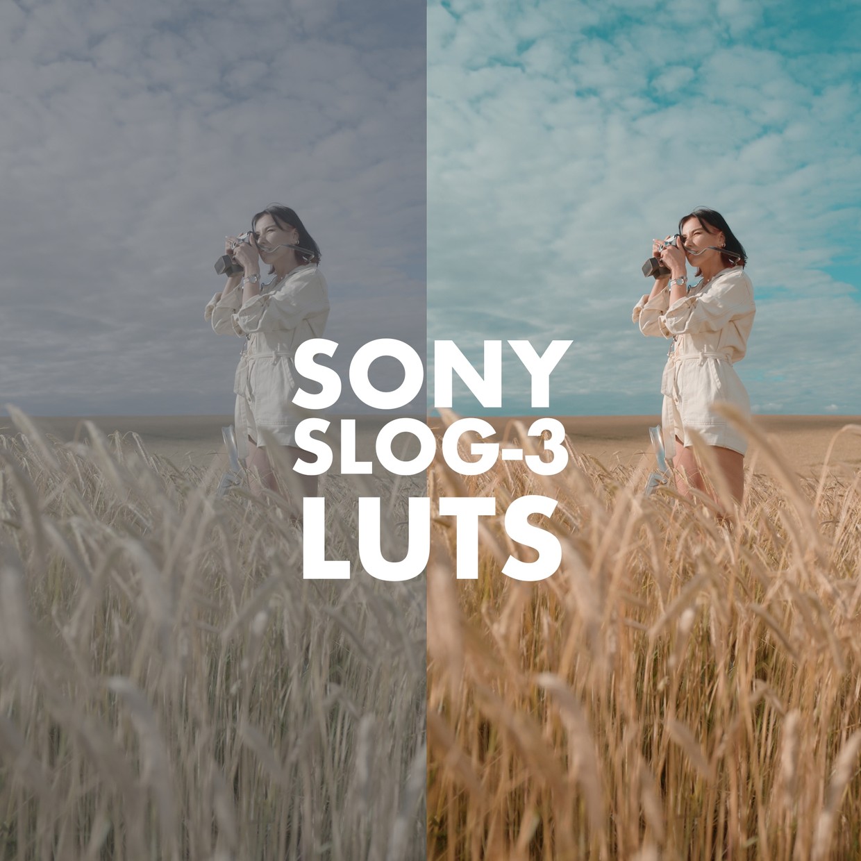 全新索尼SLOG 3商业电影级色彩外观lut预设包 Alexandru Don – SONY SLOG 3 LUTS – SKINTONE EDITION . 第2张