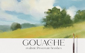 水粉Procreate笔刷素材 Procreate Gouache Brush set