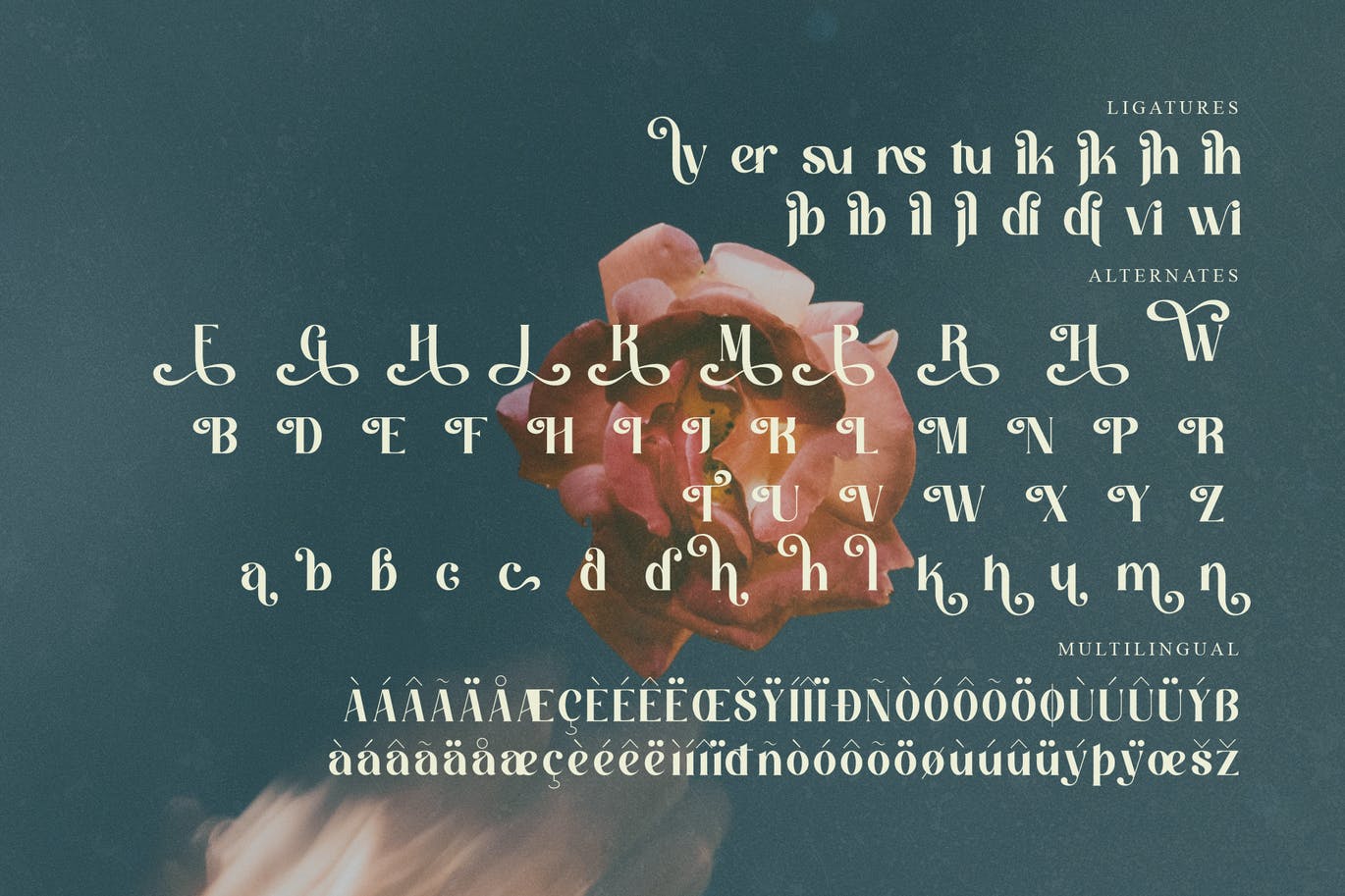 优雅现代衬线显示字体素材 Hatcher Serif Display Font 设计素材 第6张