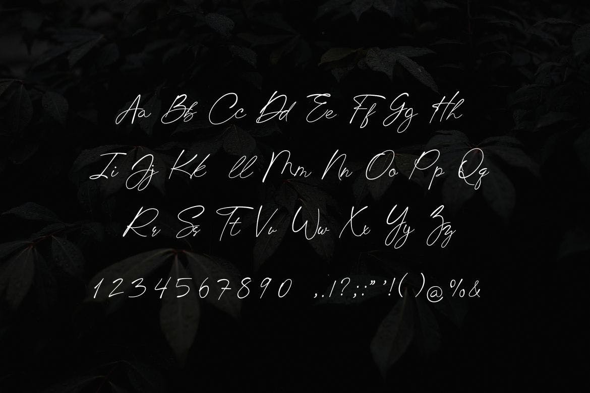 多用途英文手写签名字体 Chick Budapest Signature Font 设计素材 第3张