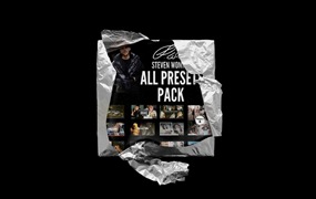 Steven Wommack 油管大神史蒂文·沃马克胶片预设合集 All Presets Pack + Youtube