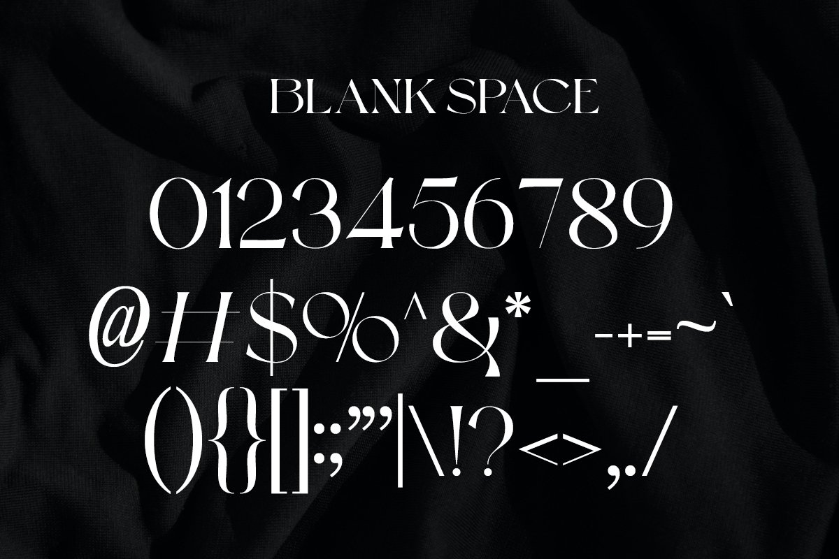 英文字体：现代复古杂志品牌广告设计无衬线字体 Blank Space | Modern Display . 第5张