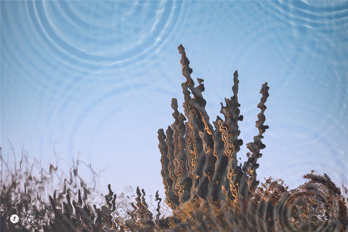 抽象水波波纹失真扭曲效果照片logo文本处理特效ps样机模板 Water Reflection Photo Effect . 第4张