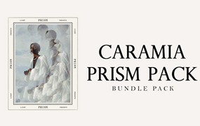 Cara Mia 48个明亮干净光线户外人像摄影LR调色预设 PRISM PACK