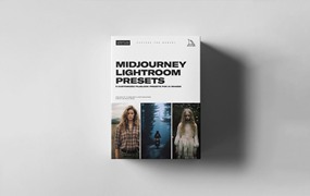 复古美学色彩电影胶片色彩颗粒氛围感LR调色预设 Midjourney AI Lightroom Presets