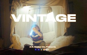 28个90年代专业级复古色彩模拟摄影LUT调色预设 Vintage LUTs