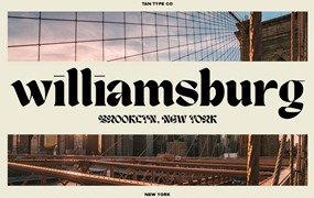 英文字体：复古时尚优雅杂志海报标题设计无衬线字体 TAN - NEW YORK