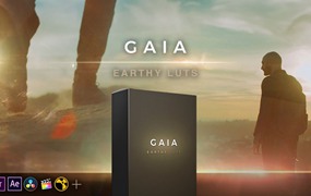 预设工厂旅拍婚礼柔和自然视频调色LUT预设 Gaia LUTs Earthy Color Grades