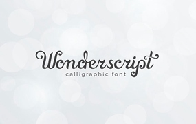 Wonderscript浪漫的英文花体手写字体