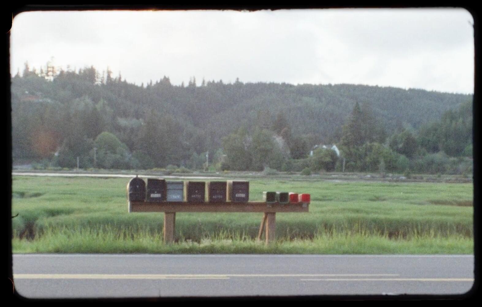 Tropic Colour 复古柯达50D/250D胶卷圆边哑光电影4K剪辑视频素材 Tropic Colour – PNW FILM STOCK . 第12张