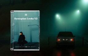 《银翼杀手》超现实反乌托邦夜景氛围黑暗色调LR调色预设 Cinegrams Dystopian Looks V2