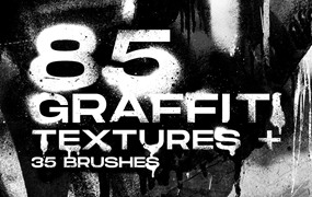 85个城市街头狂野涂鸦艺术纹理包+笔刷素材 Visual Fear Graffiti textures and brushes