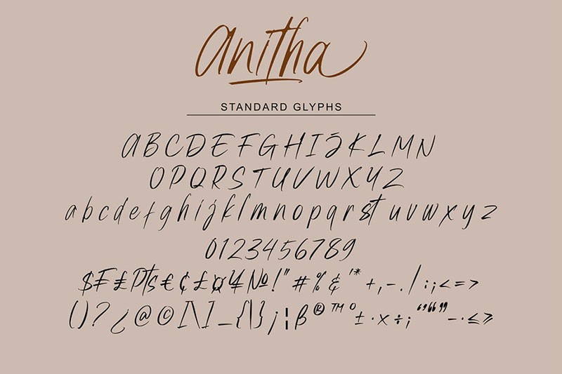 Anitha书写风格的英文字体 APP UI 第2张